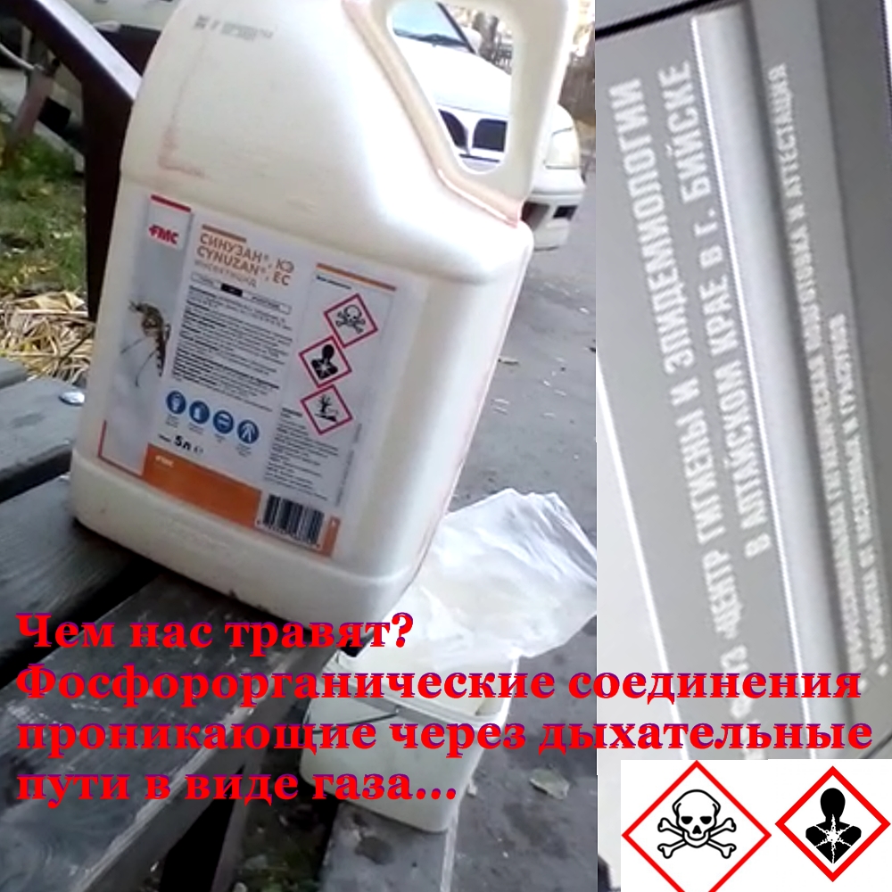Роспотребнадзор - Центр гигиены и эпидемиологии в Алтайском Крае в г. Бийске. Канистра на лавочке в сибирском городе Бийске - СИНУЗАН КЭ - Хлорпирифос - Фосфорорганические соединения. Фумигант. Боевые отравляющие газы.