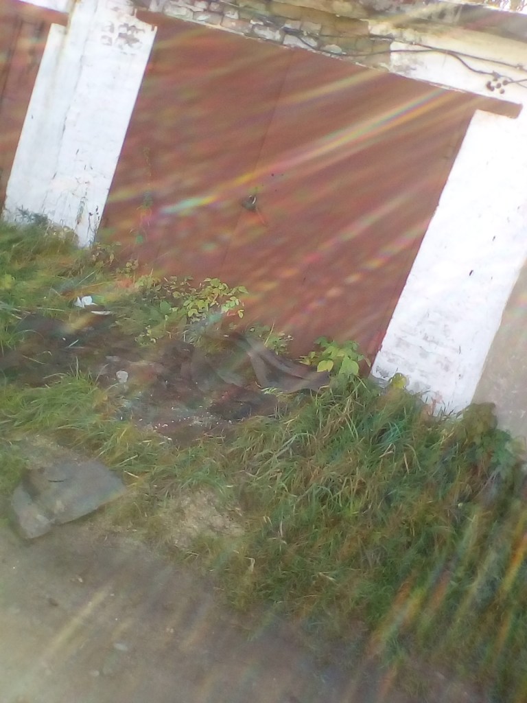 Нападение, провокации на семью Писателя Гановой Людмилы ГСК-21 