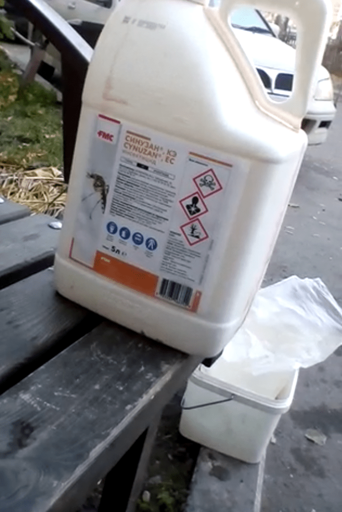 СИНУЗАН КЭ ЕС